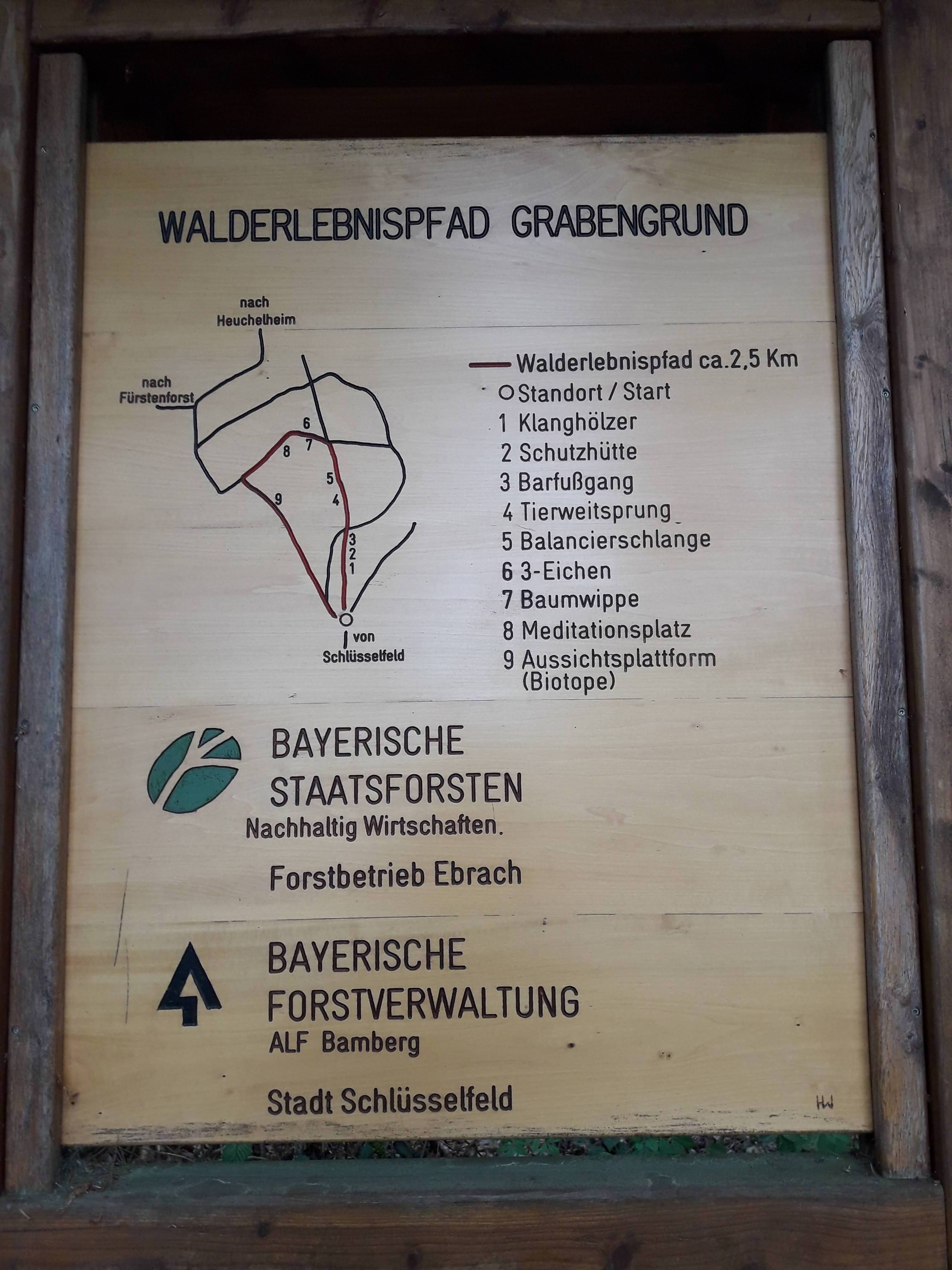Walderlebnispfad Grabengrund